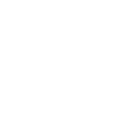 White Nike logo