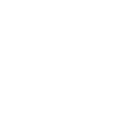 White Port Authority logo